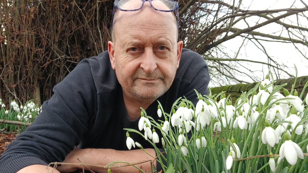 The year's first flowers