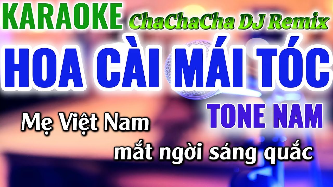 Karaoke Hoa Cài Mái Tóc Tone Nam ChaChaCha Remix Mới Nhất 2026|Karaoke Huy Phát