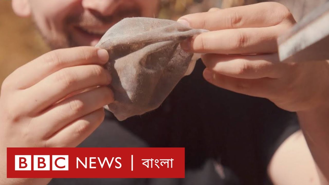 মশার যন্ত্রণা ঘুচাতে নতুন প্রযুক্তি | BBC Bangla Click : Episode - 152