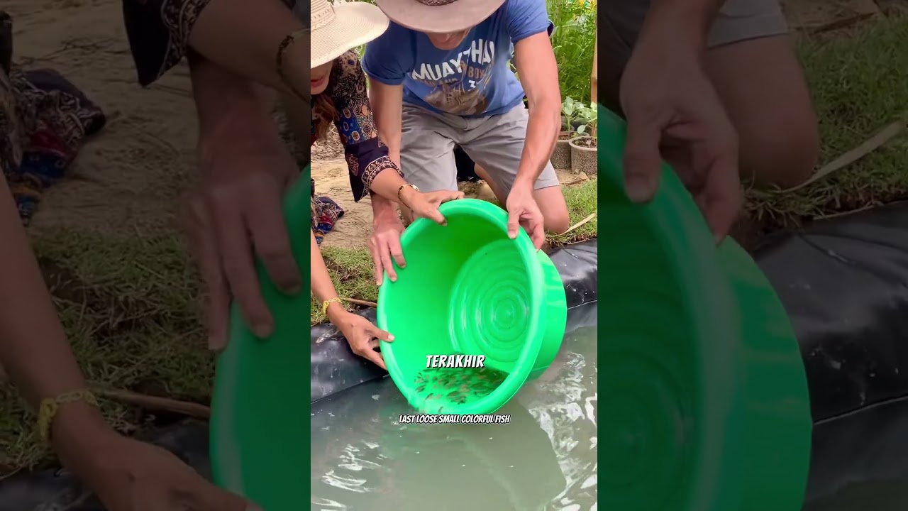 Buat Kolam dibelakang rumah yang asri #pertanian #kolamikan #tipsberkebun #petanimodern #fyi
