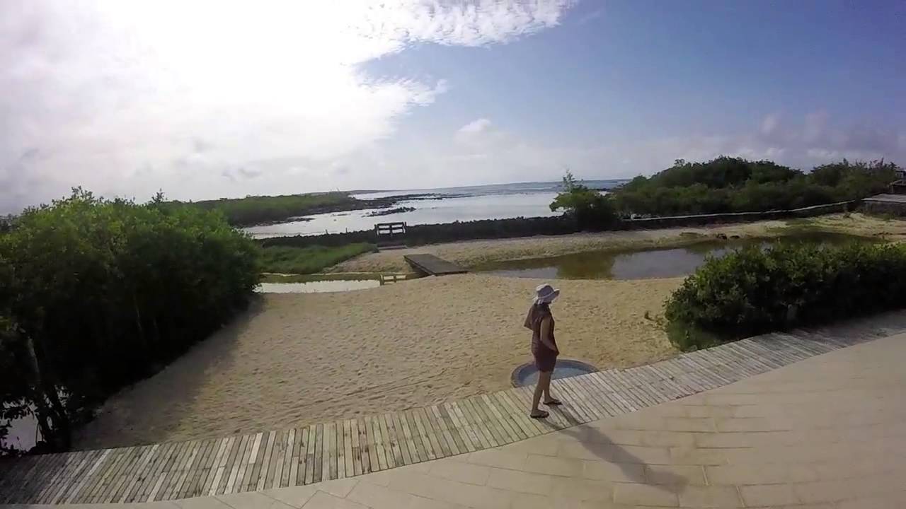 Galapagos Islands - Santa Cruz - Ecuador June 2015 GoPro