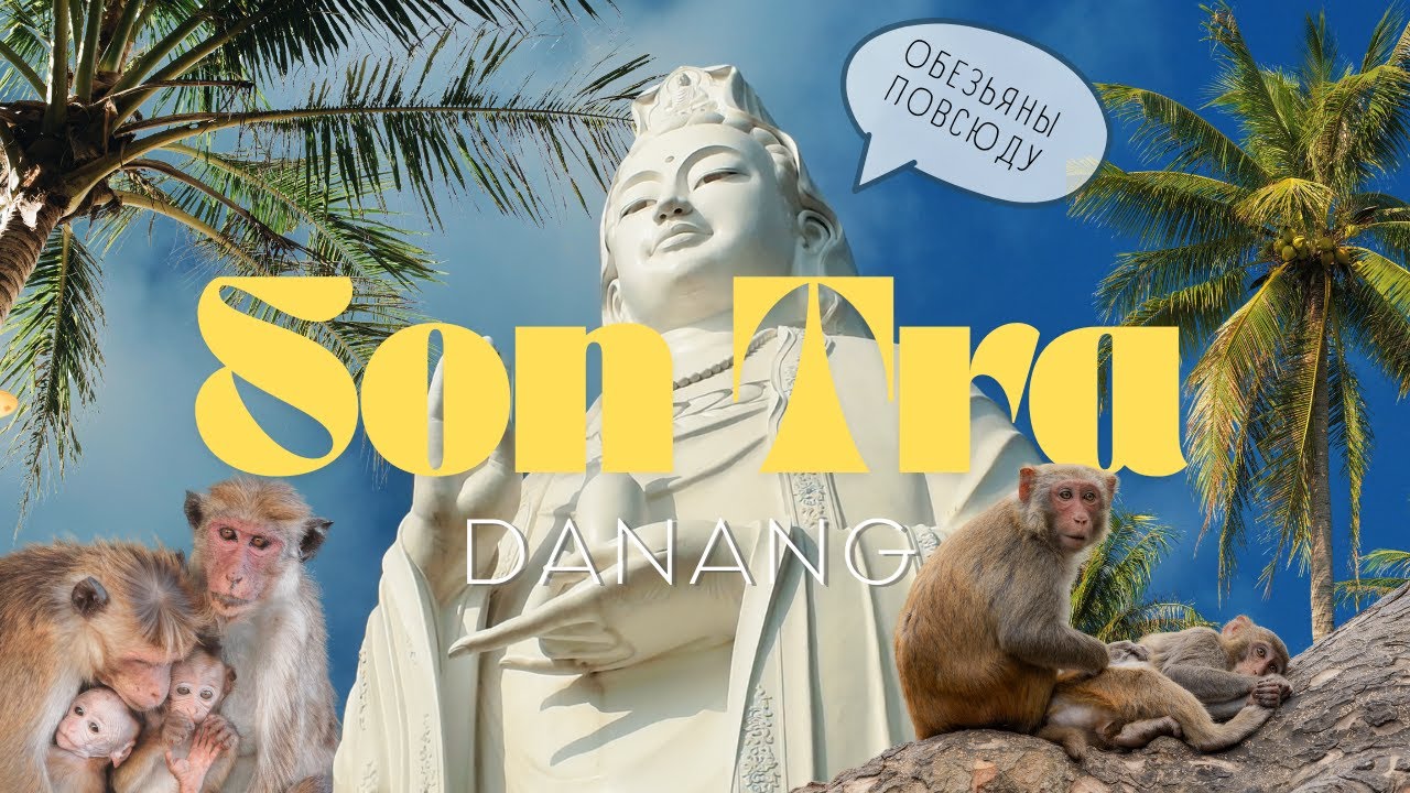 ЗАПОВЕДНЫЙ ВЬЕТНАМ: В поисках редких лангуров и путь к Леди Будде. Дананг, Сон Тра.
