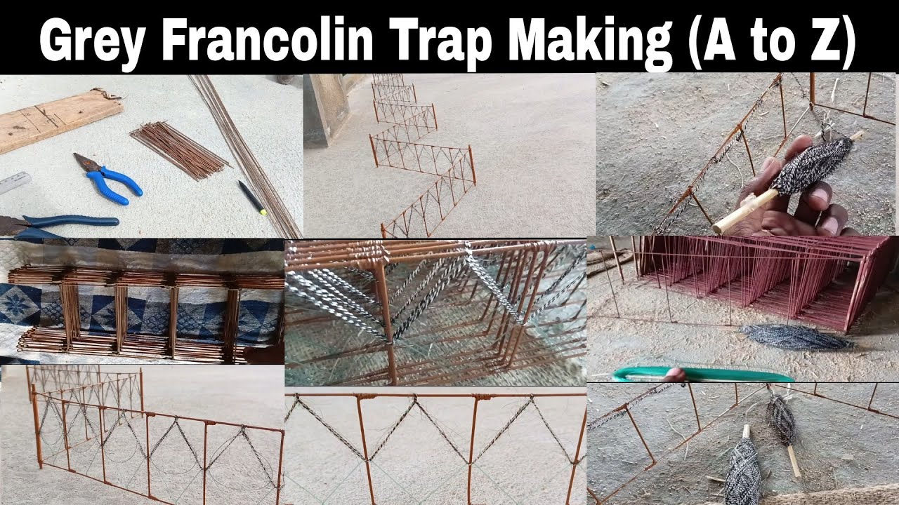 Grey Francolin Trap making / Teetar trap making video / Trap making at home
