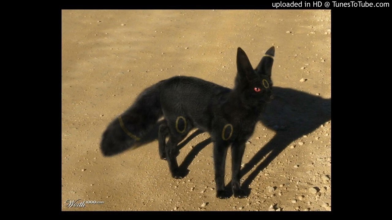 Become and Anthro Umbreon with Reality Shifting