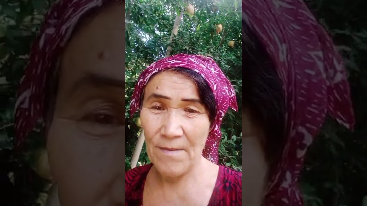 QAZISAN QARTASAN ASIL ZODINGA TORTASAN