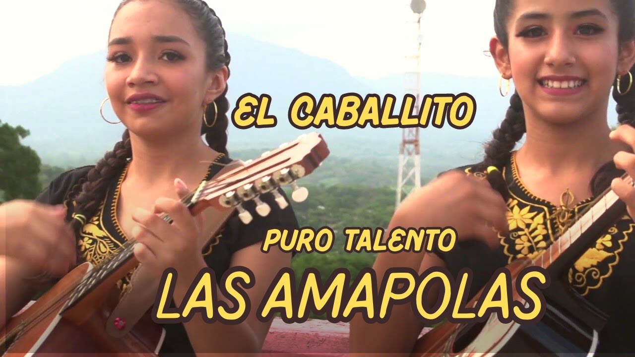 El Caballito 🐎 por el Trío Huasteco Las Amapolas en Tepetzintla 🎶💃🕺