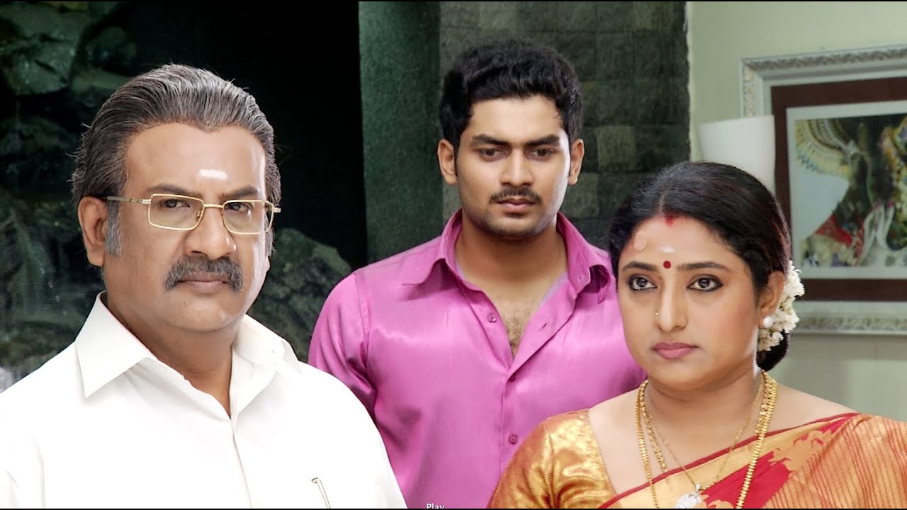 Priyamanaval Episode 31, 24/02/15