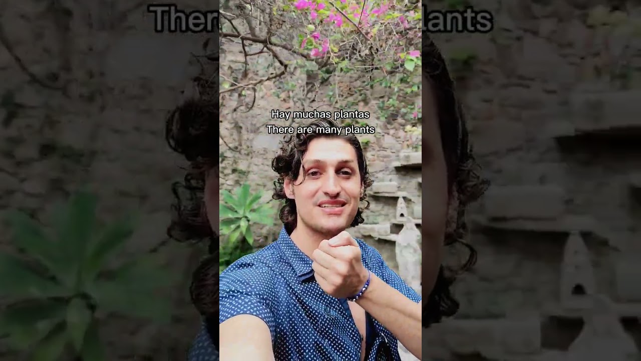 ¡El patio! 