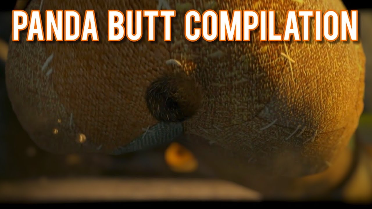 Panda Butt Compilation