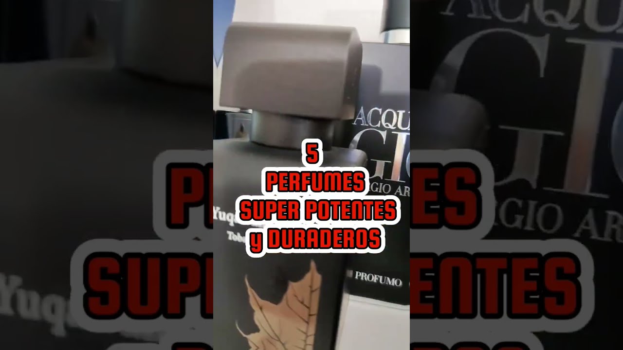 5 PERFUMES POTENTES y DURADEROS 😍👌