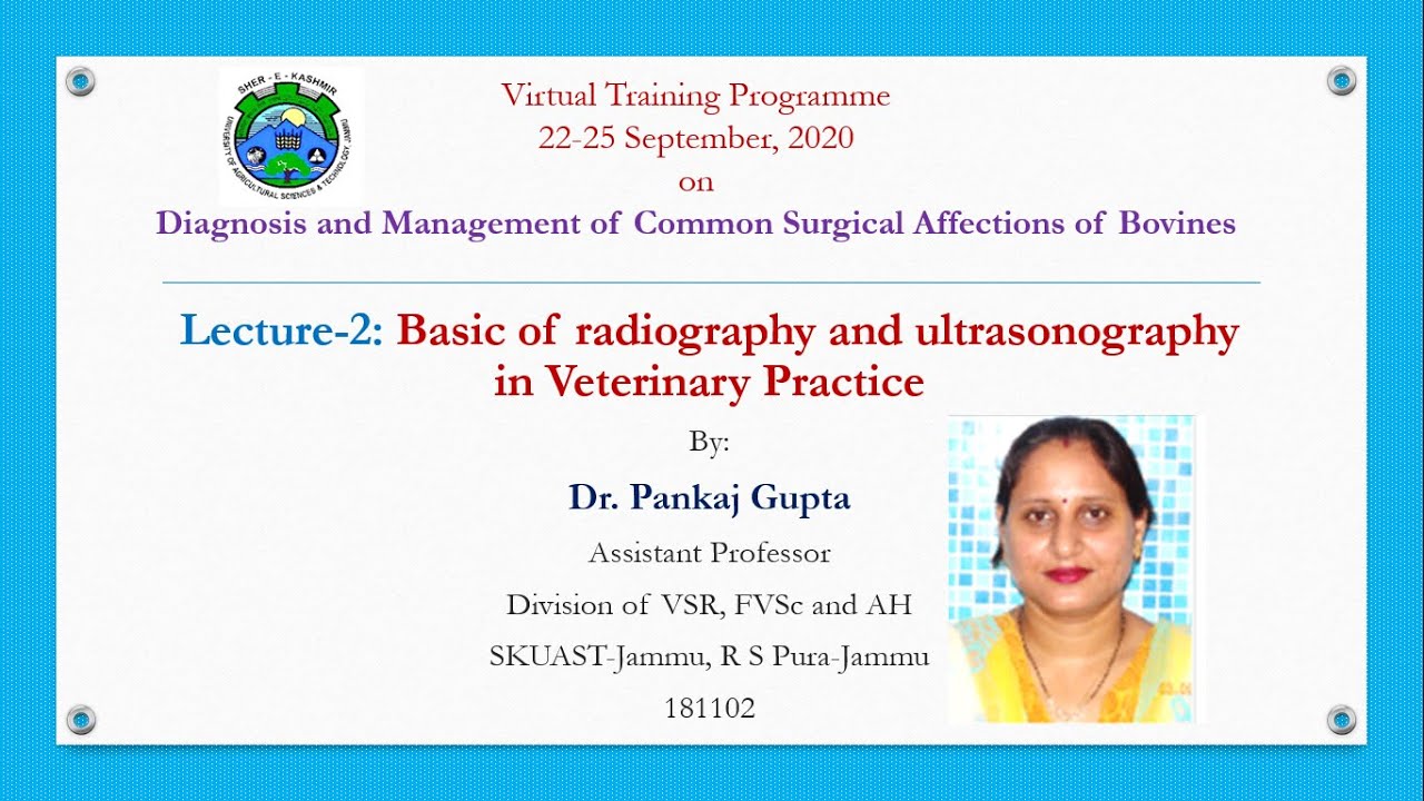 VTP, Lecture: 2 Basic of radiography and ultrasonography in veterinary practice By Dr Pankaj Gupta