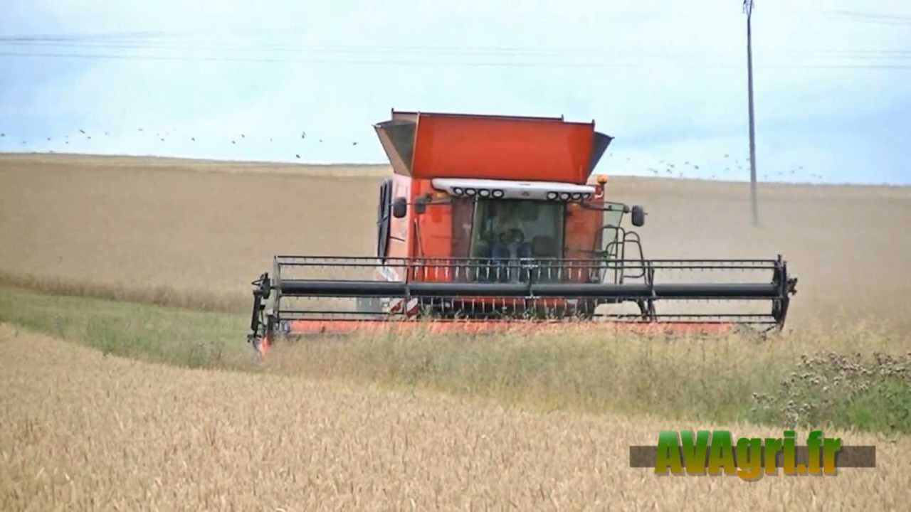 MASSEY Fortia 9795 à la moisson du Colza en 2012