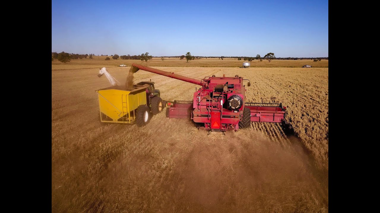 Harvest Australia 2020 - Case 2366