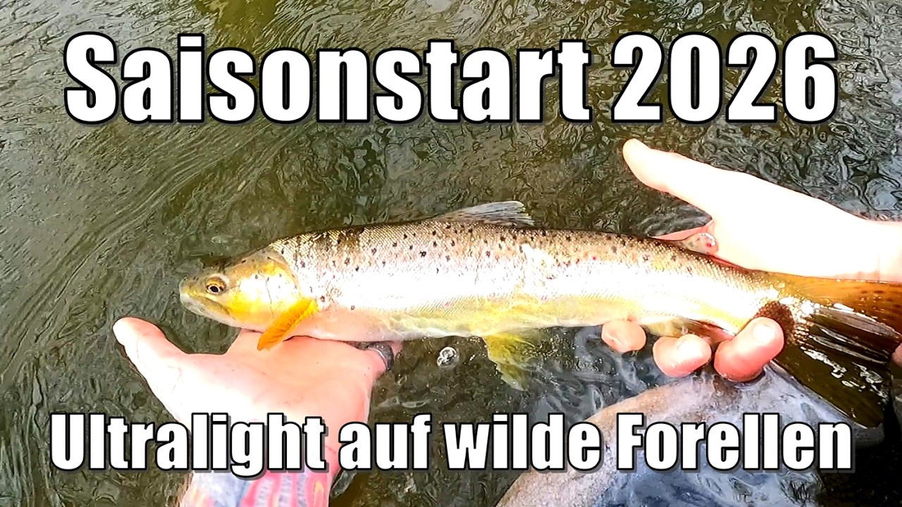 Saisonstart am Bach 2026 | Ultralight auf wilde Bachforelle