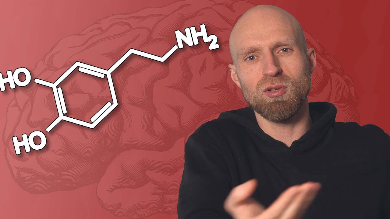 The DOPAMINE DETOX does NOT work?