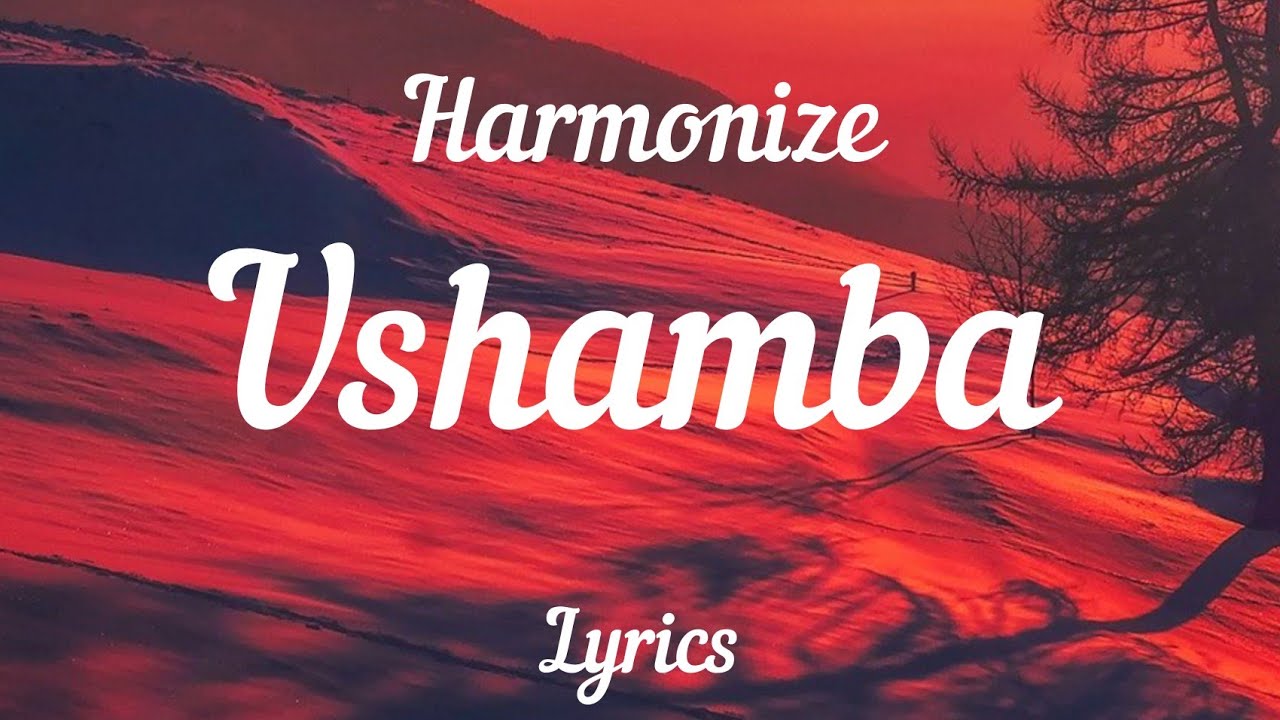 Harmonize - Ushamba ( Lyrics Video )🎵