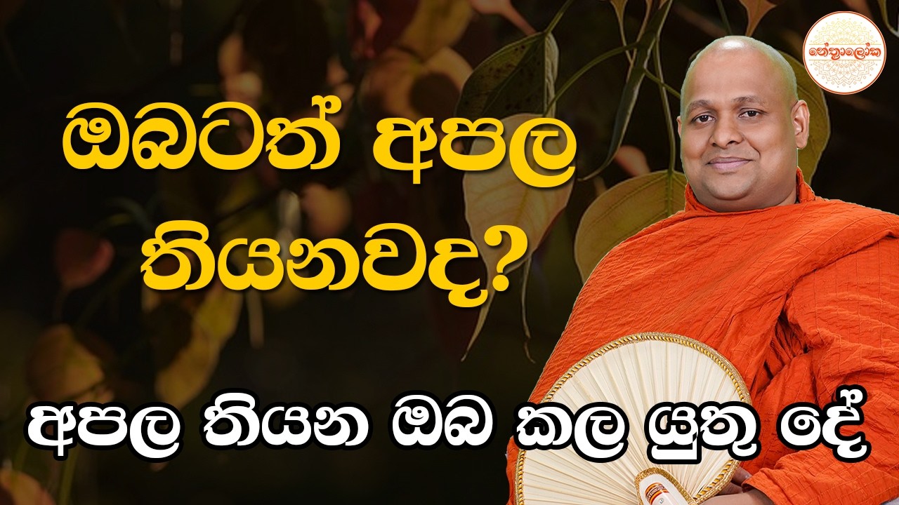 Kuttikulame Pemalankara Thero l Meth Neth Pamula Discussion l 2026 03 15
