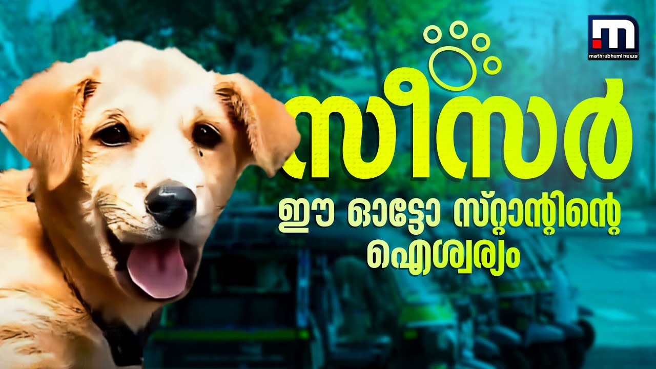 'അമ്മ പോയി, കുപ്പിപ്പാലൊക്കെ കൊടുത്താ ഞങ്ങൾ വളർത്തിയേ; ഭയങ്കര കുസൃതിയാ' | Pet | Dog | Pathanamthitta