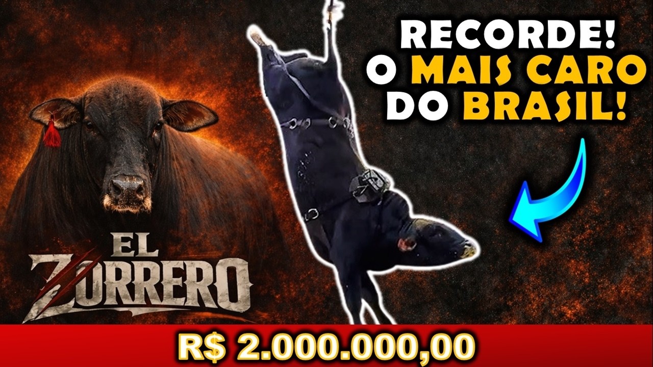 Esse é o NOVO TOURO de RODEIO MAIS CARO do BRASIL - TOURO de RODEIO EL ZORRERO