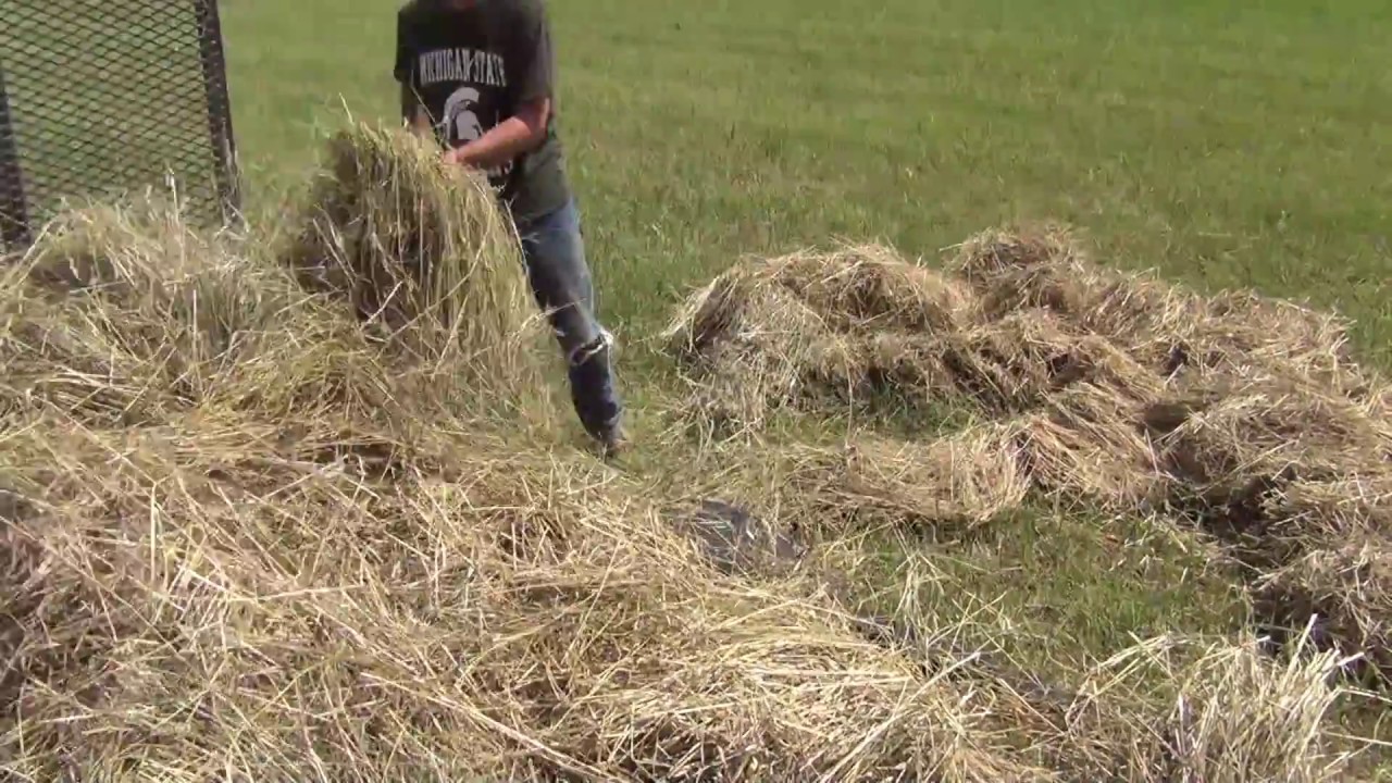 Как справиться с дождём на сене