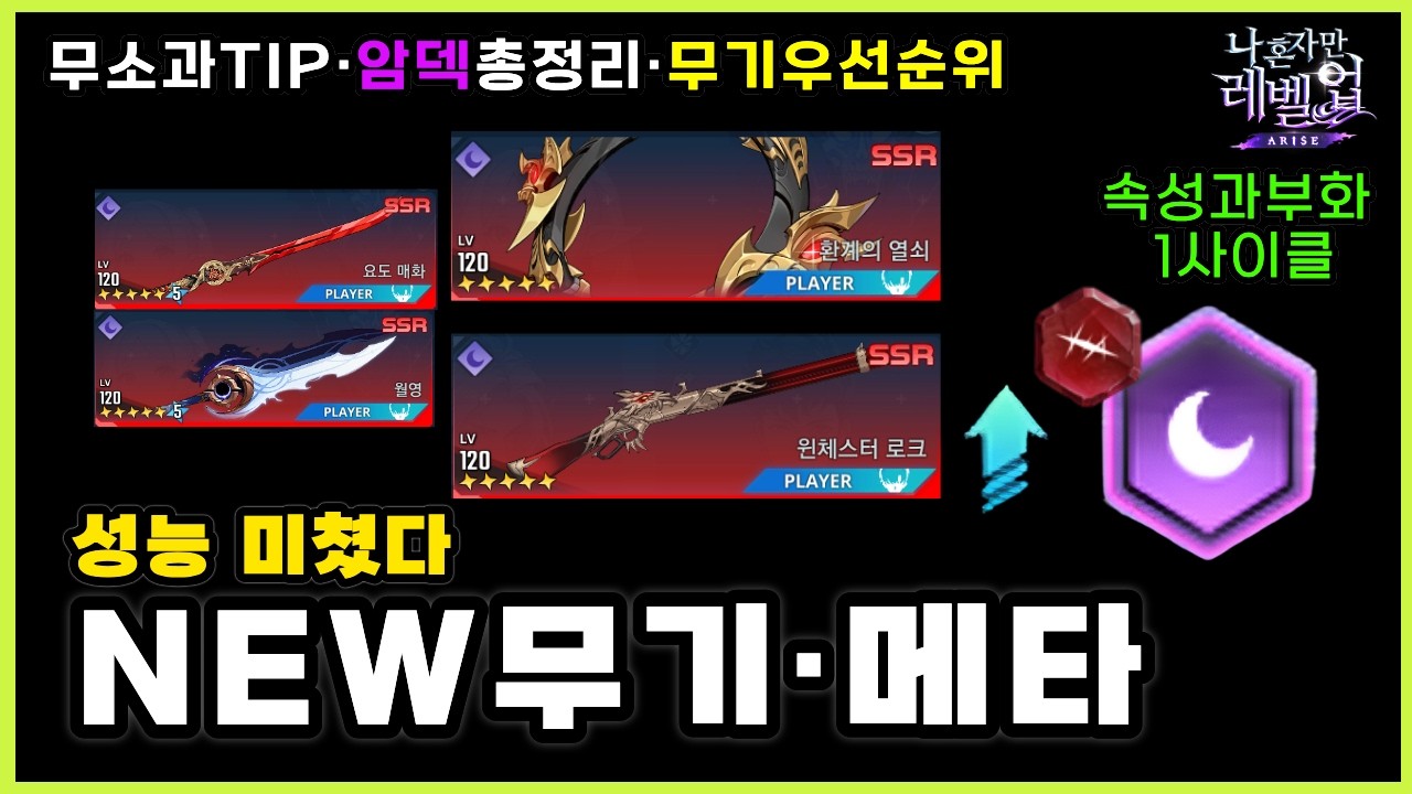 나혼렙 신무기 성능 뽑아야 할까? 실사용 후기🔥암덱 BEST 세팅·사이클 팁 총정리