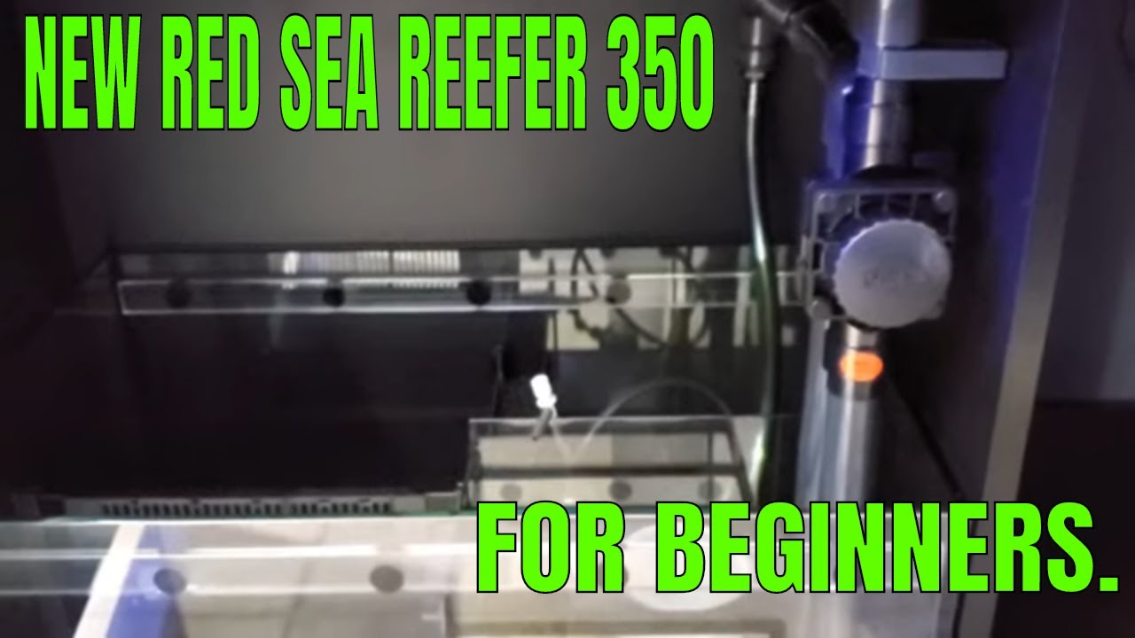 New Red Sea Reefer 350 For Beginners