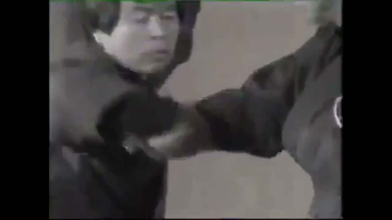 2.1-TOGAKURE RYU TAIJUTSU - Santo Tonko Gata - Kata Ude Tonso Gata by-hatsumi