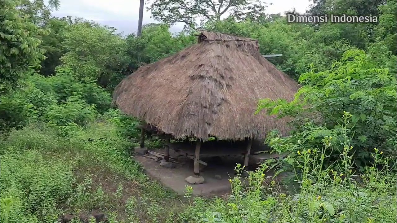 Ola Dhawe 