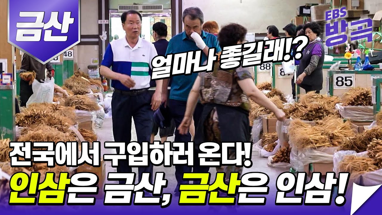 [충남 금산] 전국 인삼 생산과 유통의 80%를 차지하고 있는 금산!  다양한 볼거리, 먹거리 가득한 금산 여행 │고향민국│#방방곡곡