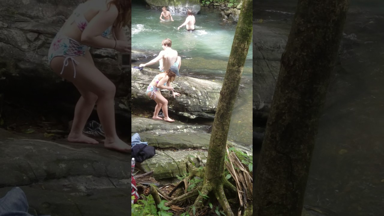 Yunque rainforest 3-26-17