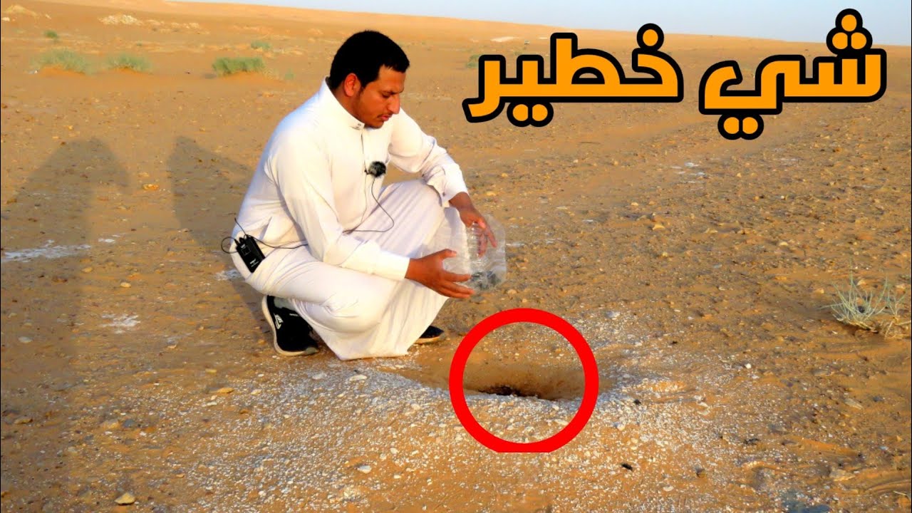 عجائب الخنافس سبحان الله شي لايصدق