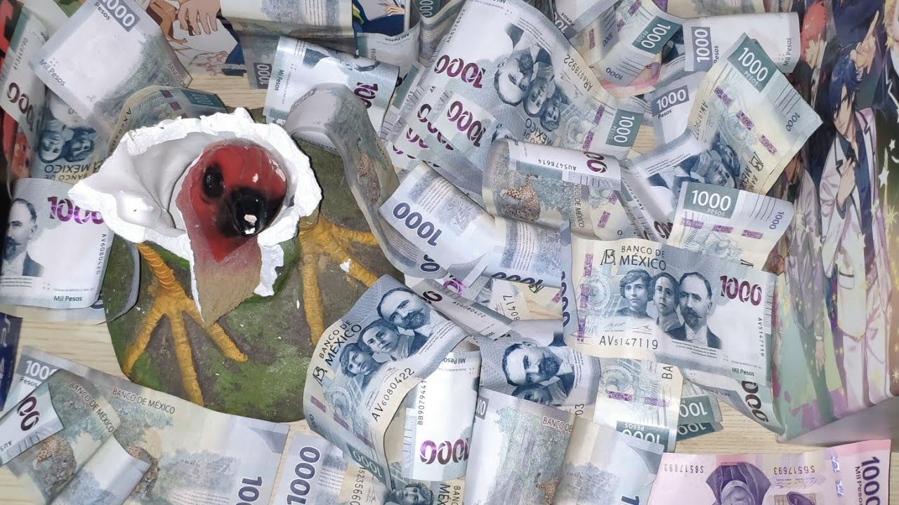 NO LO PUEDO CREER!!! AHORRO DE $1000 DURANTE UN AÑO