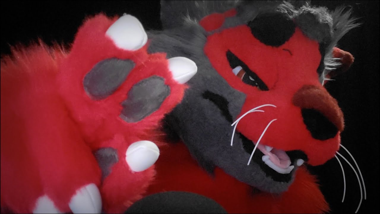 ASMR~ Hypnotic Paw Movements {Personal Attention, Whispered} {Furry ASMR}