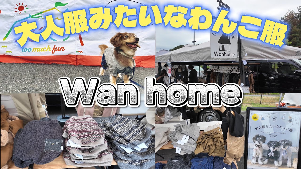 【愛犬とお買い物Vlog】お洒落を楽しみたい方必見👀愛知が誇る唯一無二のわんこ服『Wan home』