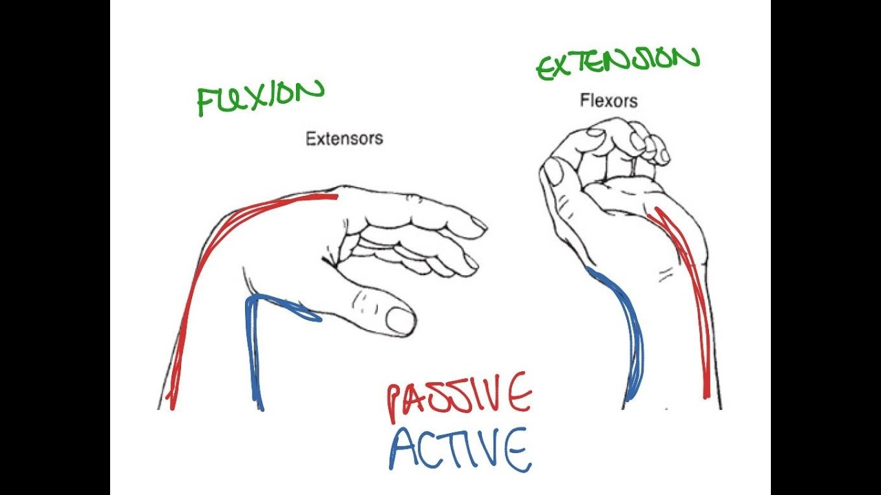Mastering Active & Passive Insufficiency: Insider Secrets Revealed