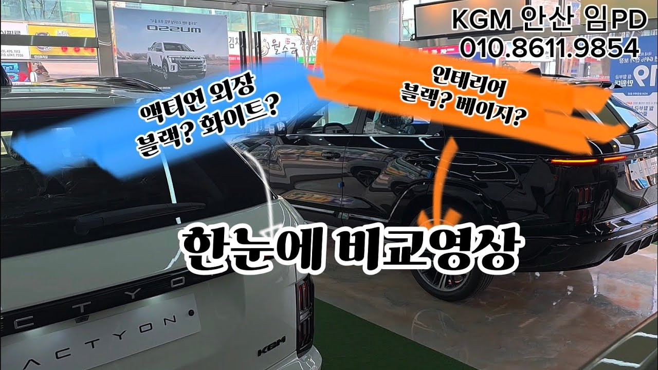 액티언 블랙,화이트 한눈에보기(인테리어 베이지,블랙포함)