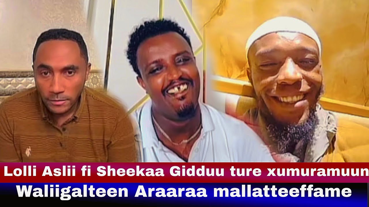 Господин Асли и шейх Робе достигли соглашения.