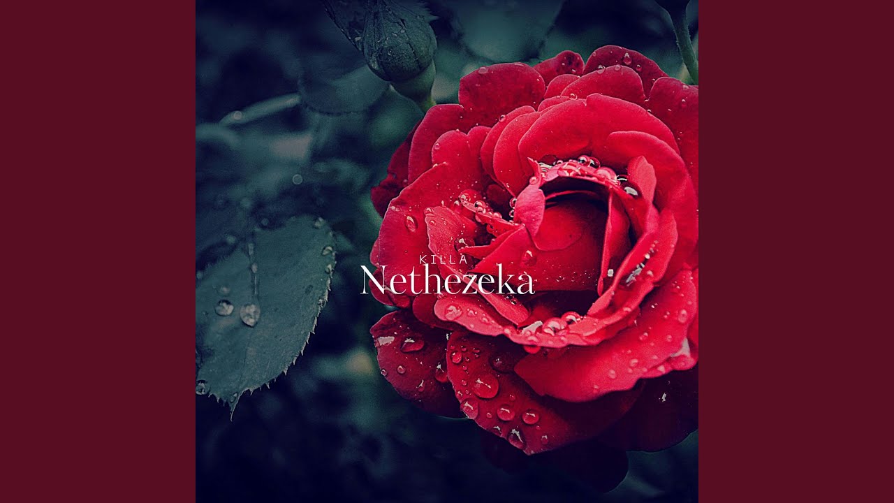 Nethezeka