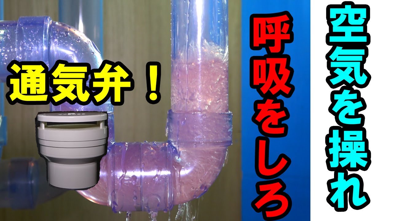 通気弁で封水を守れ！封水が切れたら大変だ