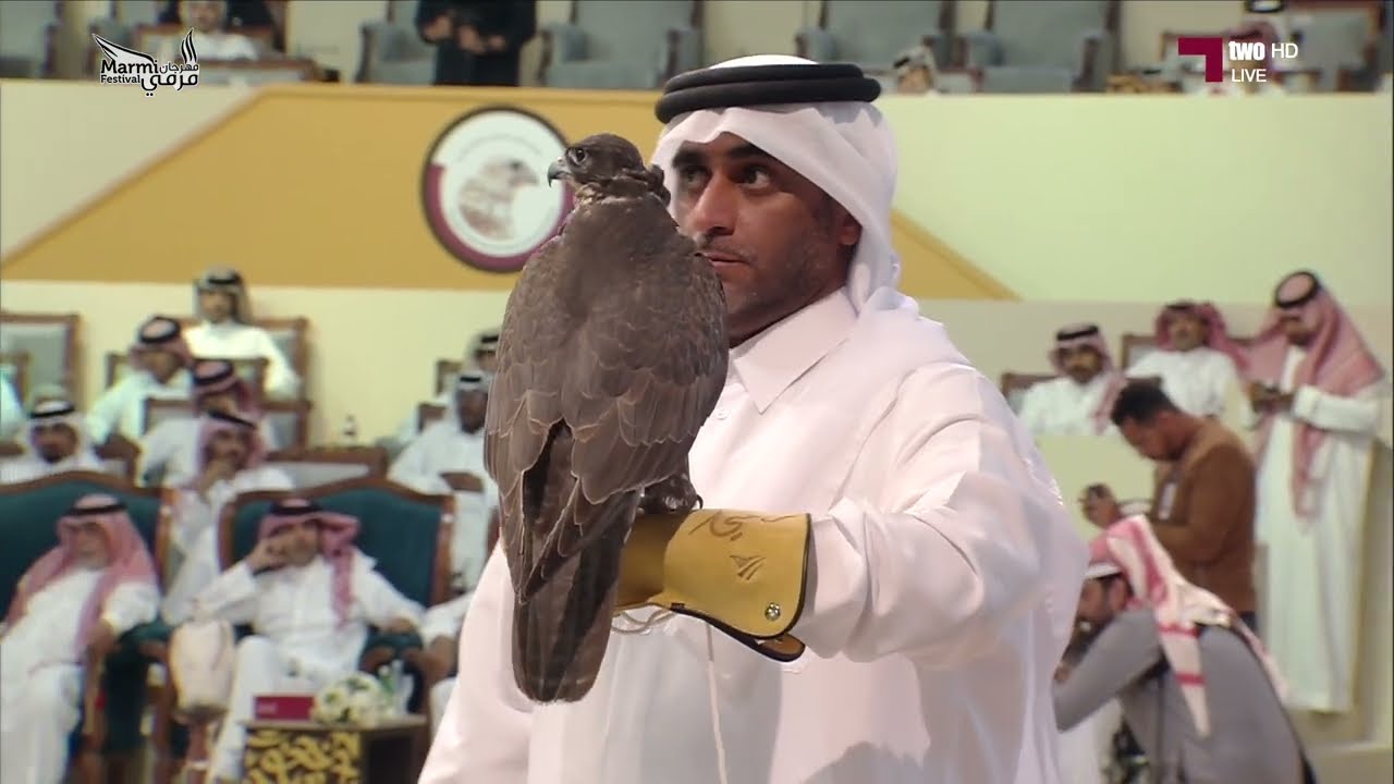 الفائز بالمركز الثالث فئة الحر الأدهم والأسود في بطولة المزاين - مرمي 2025