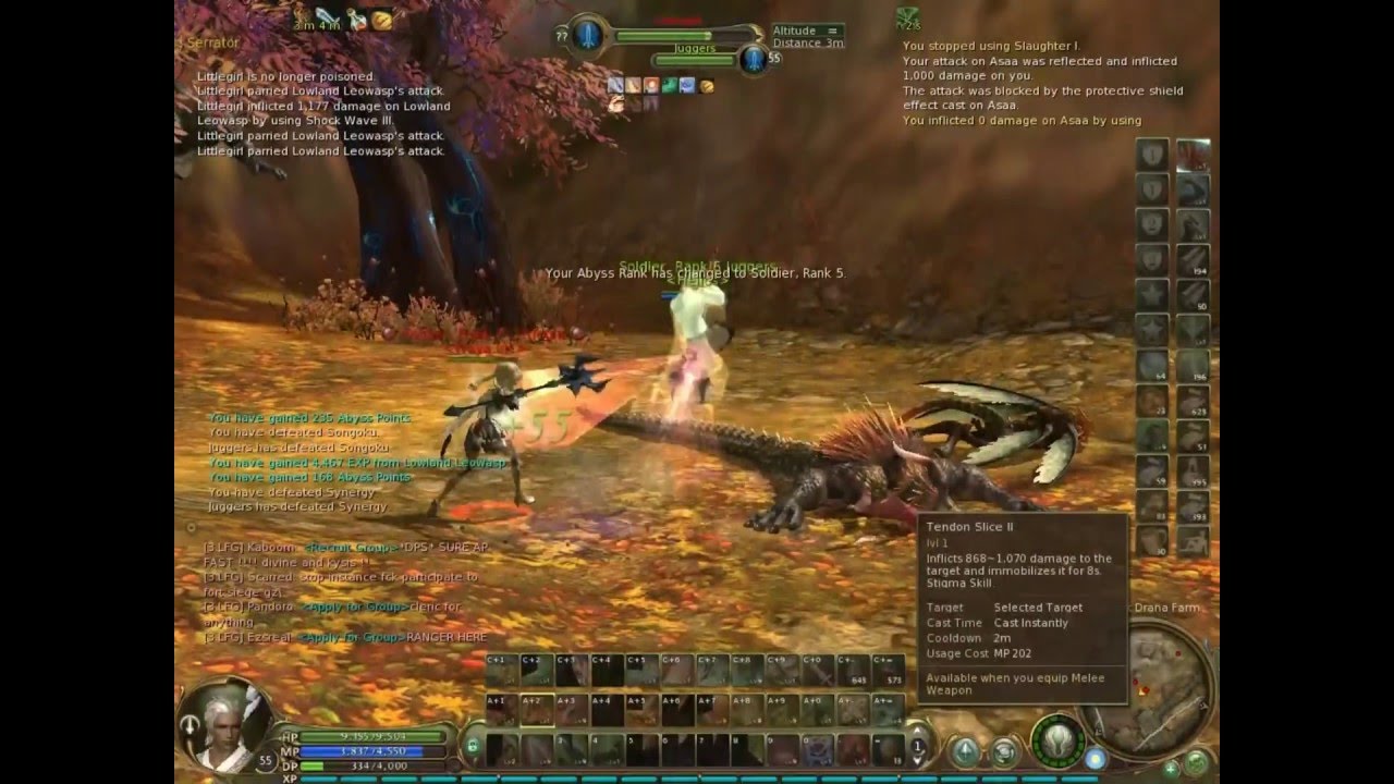 Aion Gladiator pvp 2.1 (another private server)