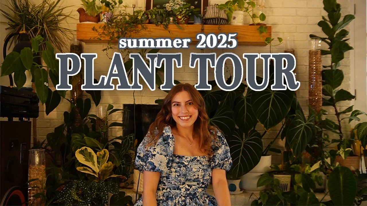 stop doomscrolling & look at my plants (2025 summer plant tour)!!