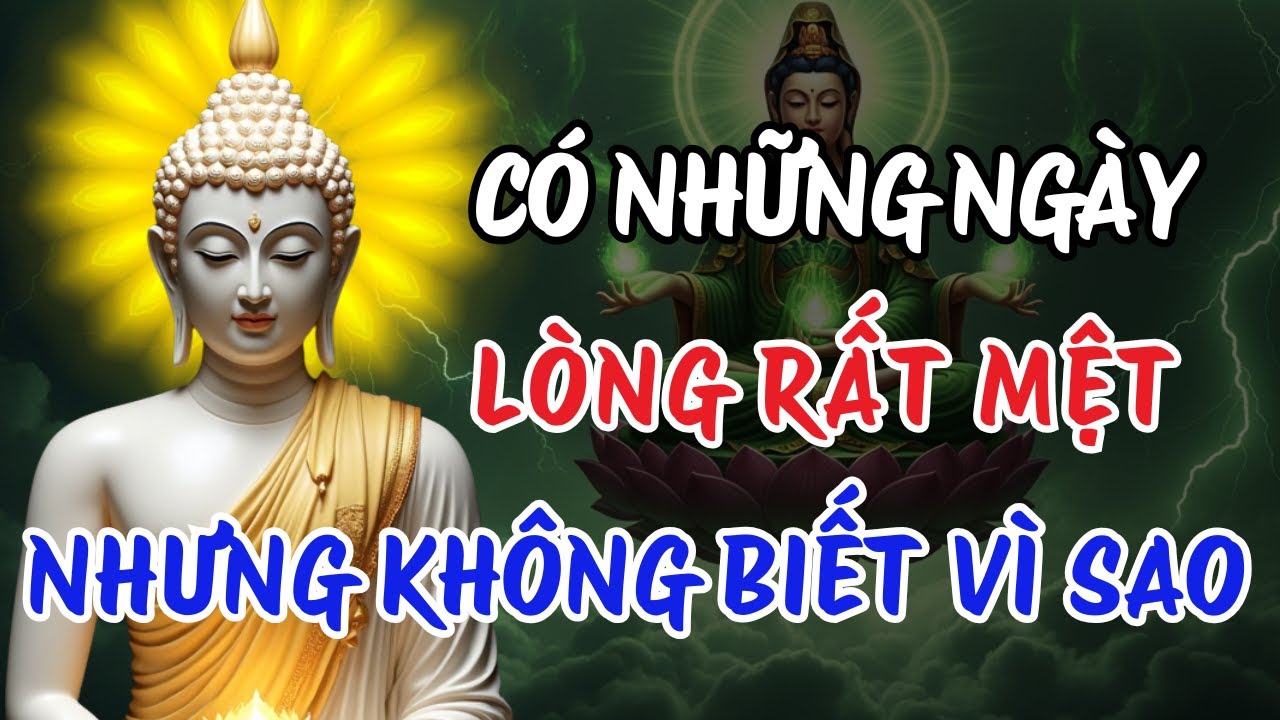 Khi Lòng Mệt Mỏi Mà Không Biết Vì Sao – Dừng Lại Để Lắng Nghe | Tâm An Đời Yên