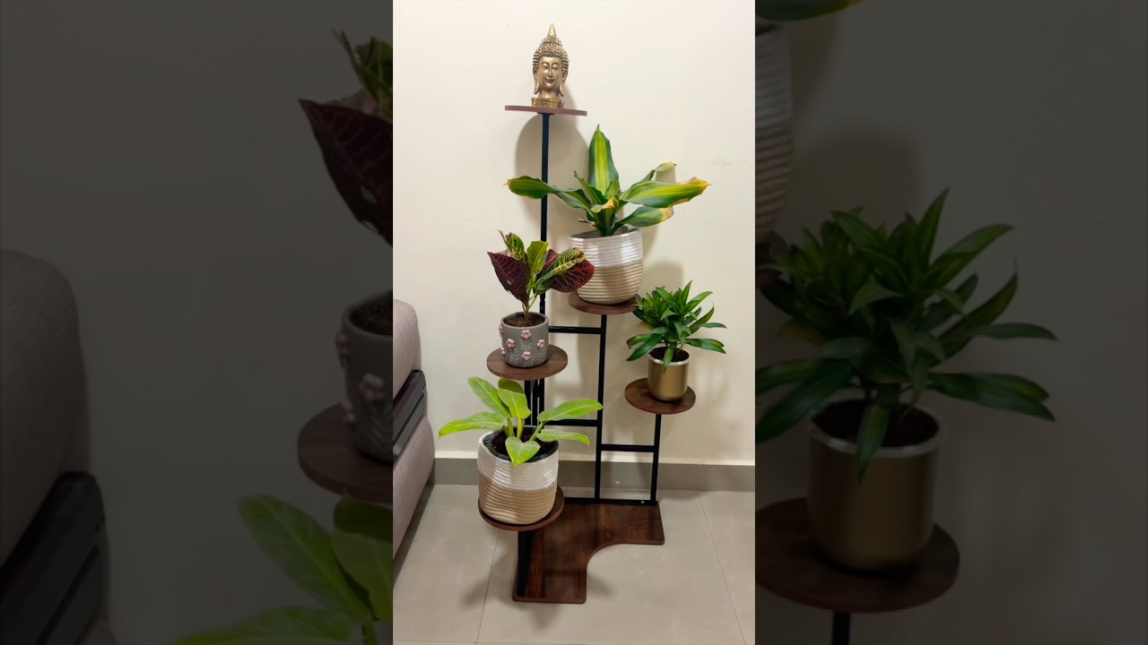 PINTERESTY MEESHO Living Room Decorating Ideas#meesho #livingroom #viralvideo #home  #meeshoapp