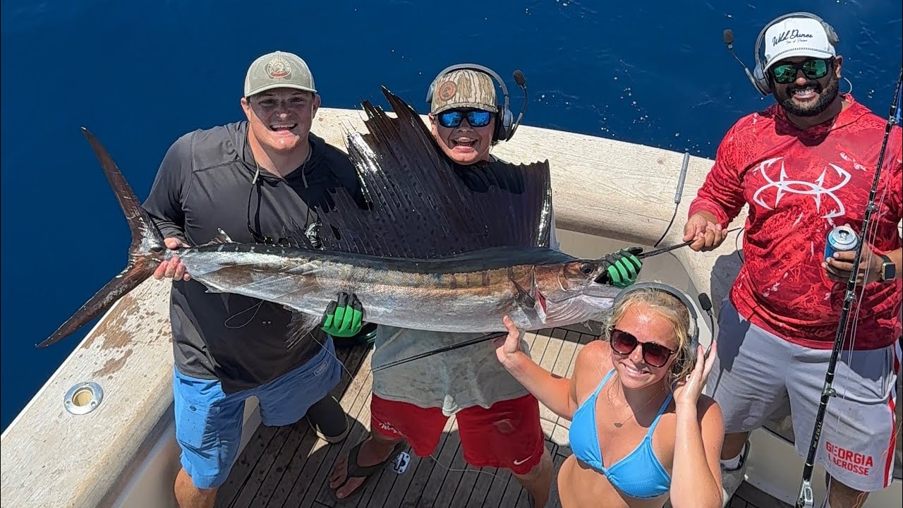 Sailfish catch and release 