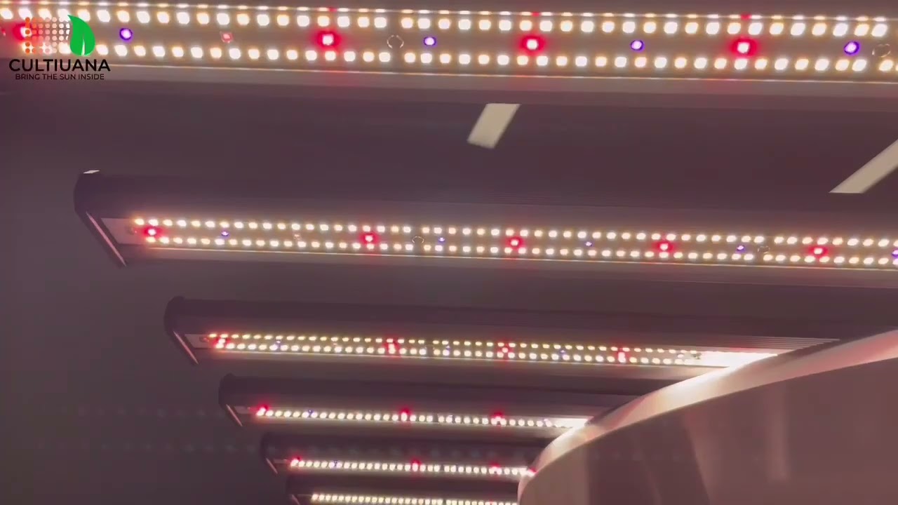Cultiuana 1000 Watt Adjustable Spectrum LED Grow Light