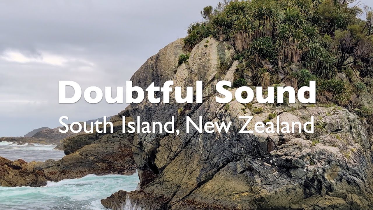 Doubtful Sound/Patea, Lake Manapouri, Wilmot Pass, Fur Seals