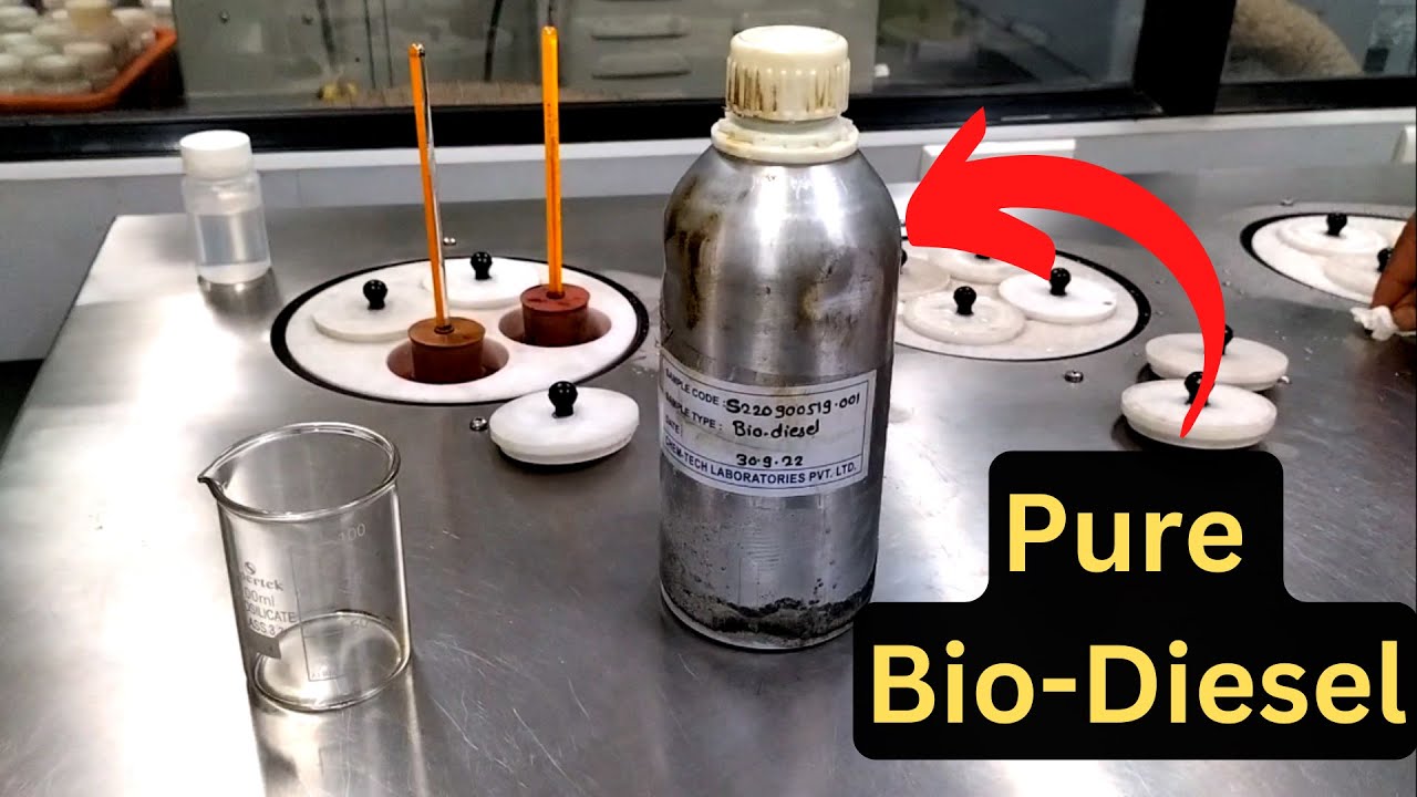 Original biodiesel | Pure biodiesel kaisa dikhta hai | Pure Biodiesel sample