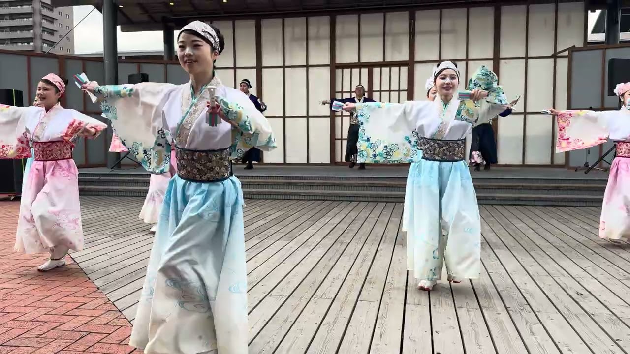 [4K60FPS]たびひろよさこい「いちぜん」