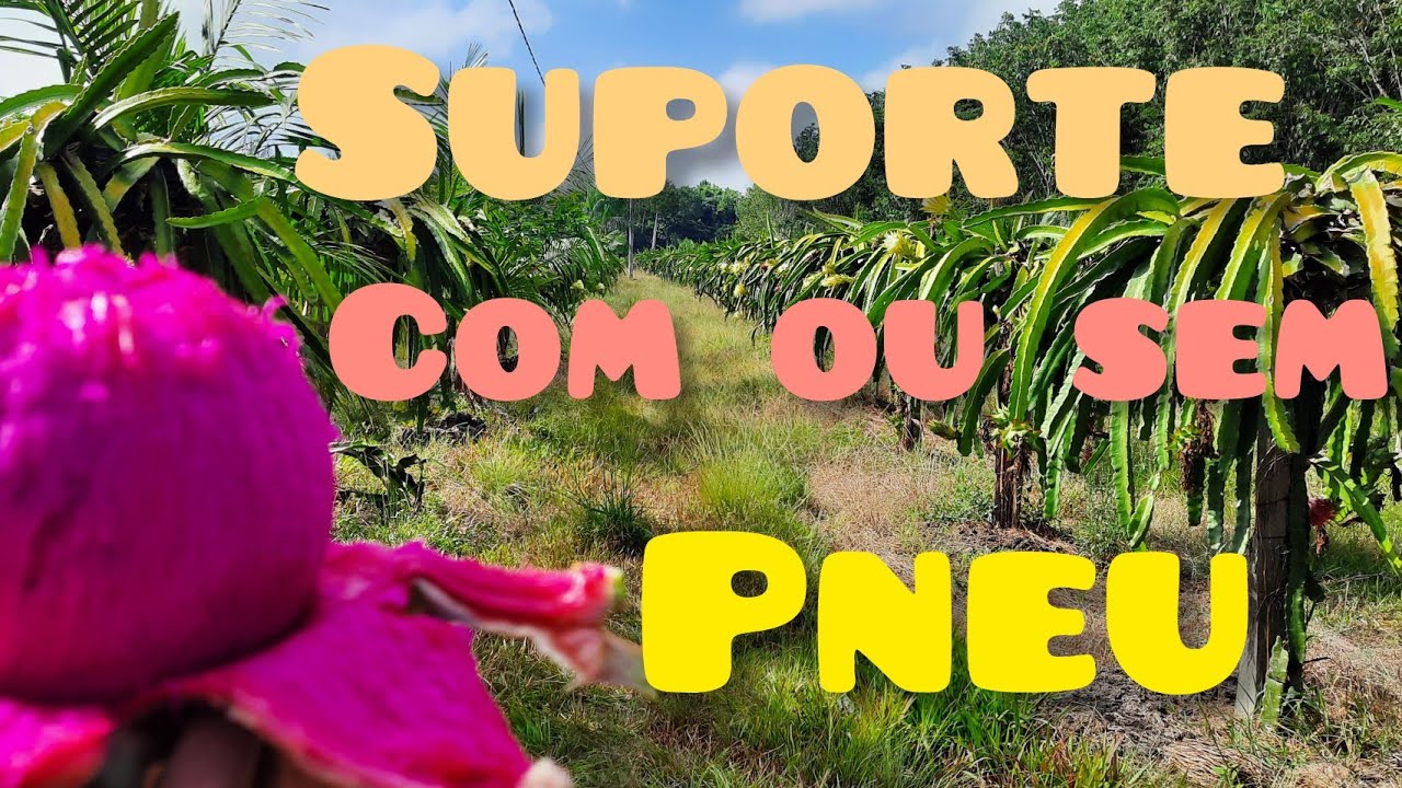 SUPORTE PARA PITAYA | COM OU SEM PNEUS